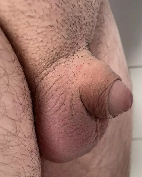 [37] I love my tiny dick 😍 by eichelfrei
