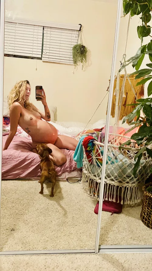 37 weeks. can’t believe the time is almost here. What a journey this has been by RainbowNiki