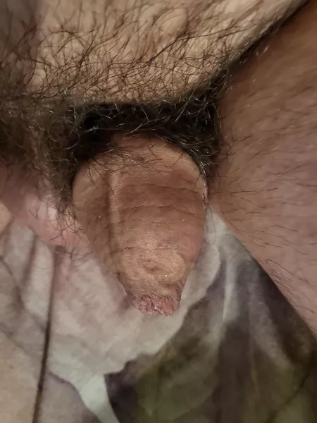 [37]Do you like my little guy? by pm3010