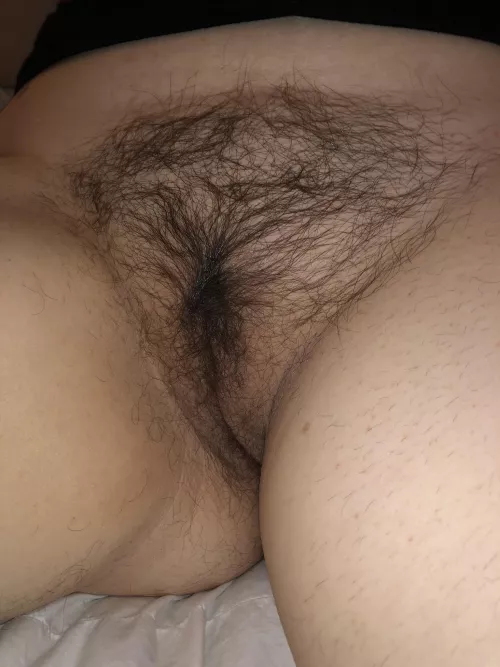 38f need my bush covered in cum by hryq