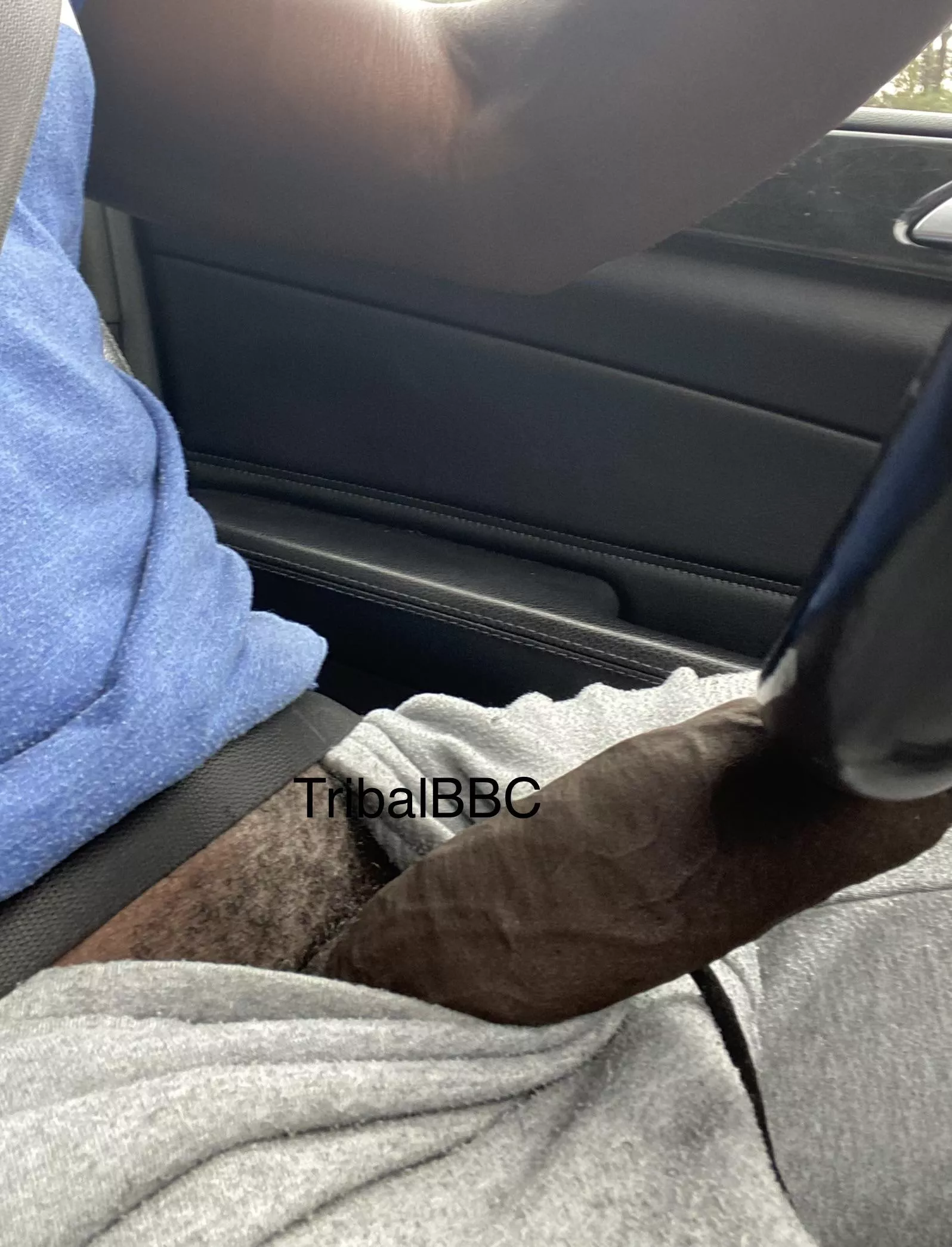 38M GA Experienced Bull seeking playmates. Although I’m local to Atlanta, I literally can travel anywhere in the world. So hit me up. More in the comments. posted by TribalBBC