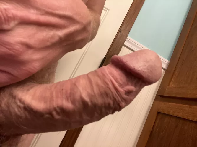 (39) Happy Sunday by mlear5998