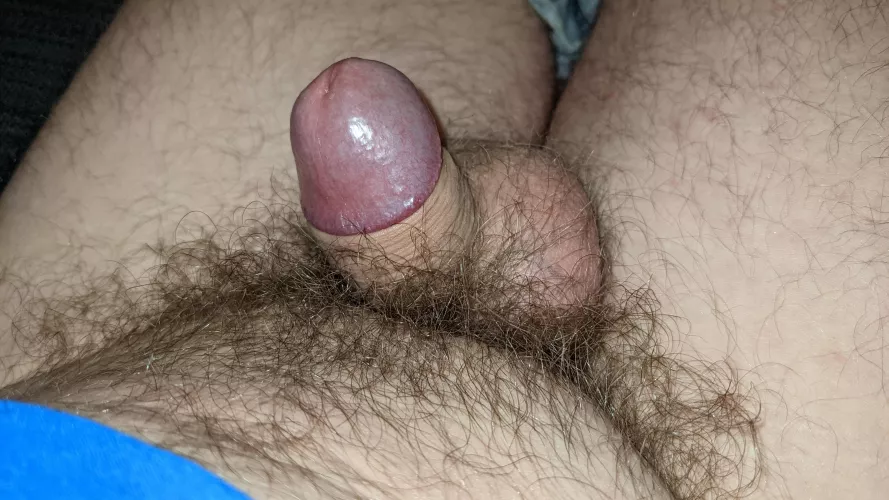 [39] he's not much, but he's mine. by Guilty-Direction-157