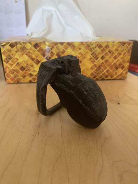 3D printed cage. First time any tips? by KarrdeWill