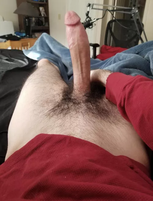 3rd leg? by Low-Bet2323