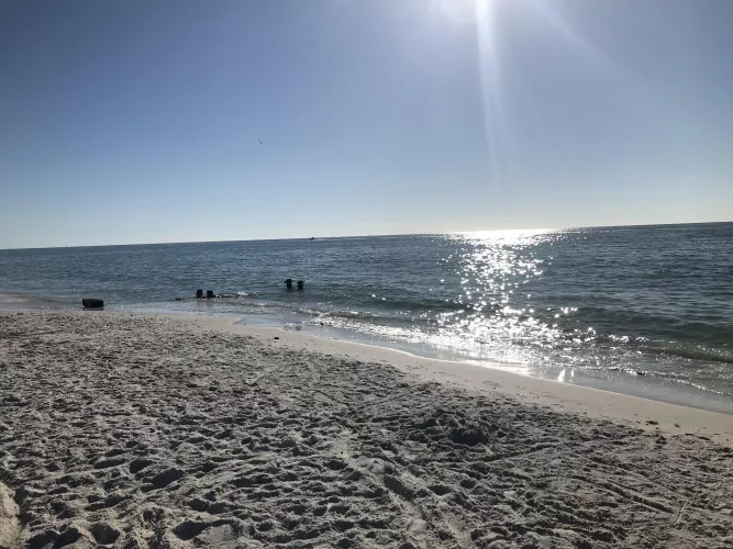 3rd St N. Naples, FL by MoonrakerElite08