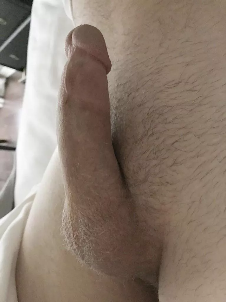 [40] ☺️ posted by PetersPriesthood5