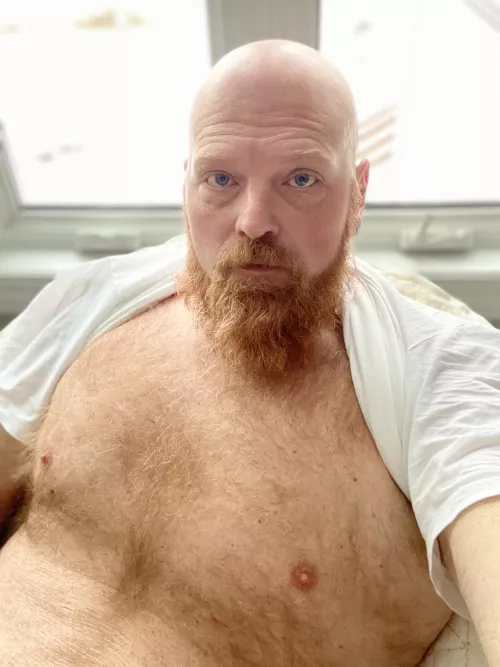 40, Ginger, morning! by robertsmythe1122