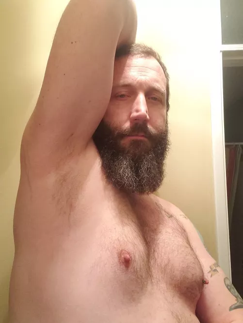 (41) Cuddly daddy bear by harlanparamore