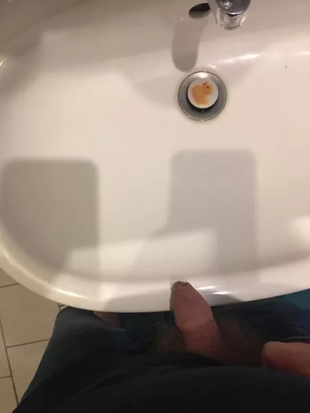 (41) good evening. Even the duck looks away (soft) by Amarth1980