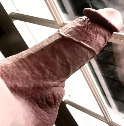 [41] He wants to go outside by tycoll13