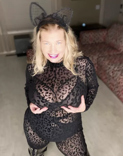 (41) Meow 💋(f) by Traci_Love