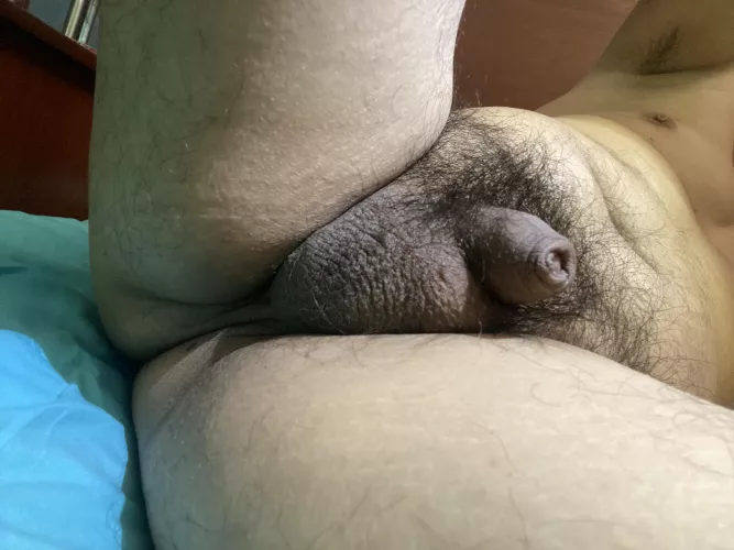 [41] Morning softie by AardvarkNo1270