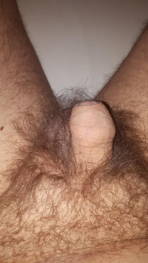 (41) My tiny little hairy friend is about to get a little handjob by DueAd7548