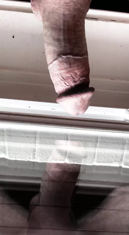 [41] Seeing double by tycoll13