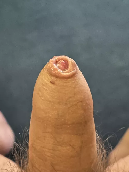 (41) Small, tight and juicy by Background_Banana80