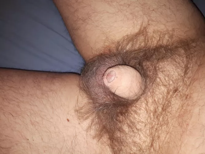 [41] Trying to make this little thing cum. Pm is open by DueAd7548
