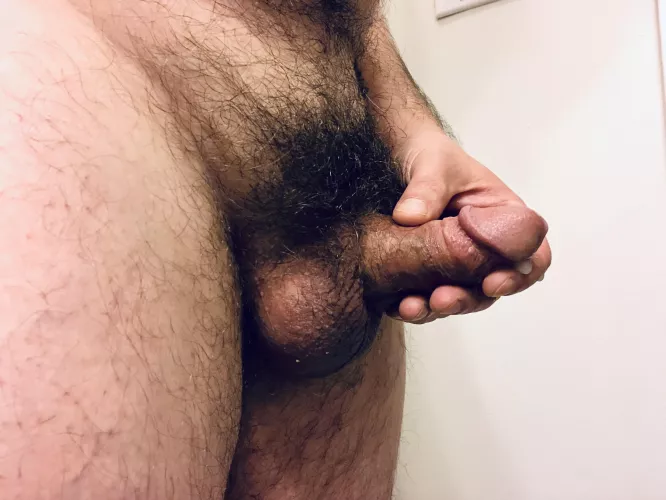 [42] Bushy little stiffie by ExternalInspector255