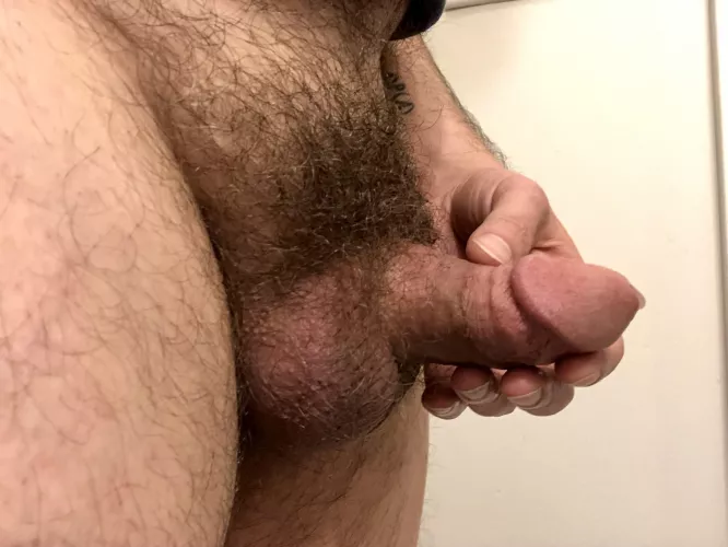 [42] No full-size bars at this house, only mini treats! by ExternalInspector255