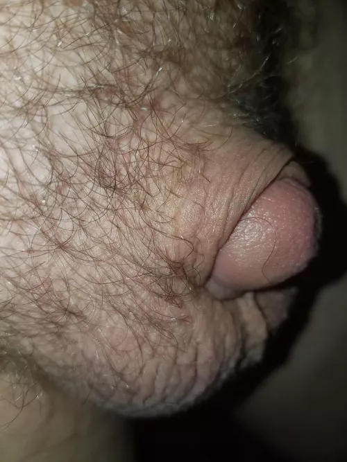 [43] Kinda cold and feel overly tiny today. by Dave43M