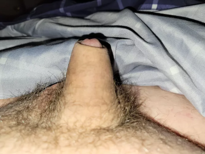 [43] late night chubby by Virtual-Smell