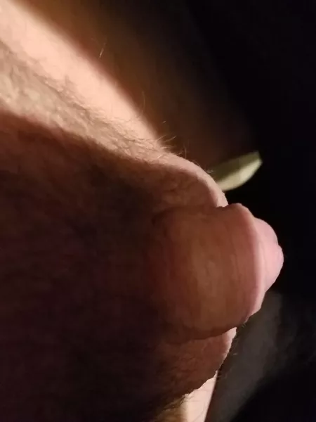 [43] morning by Dave43M