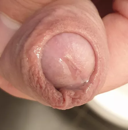 (43) saturday morning, relaxing by steltilburg