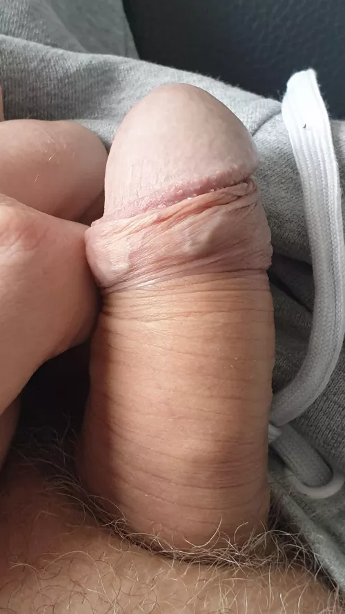 [43] what would you do ? by steltilburg