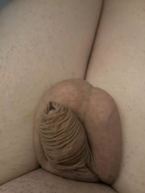 (44) yep still tiny as ever by ready4usage