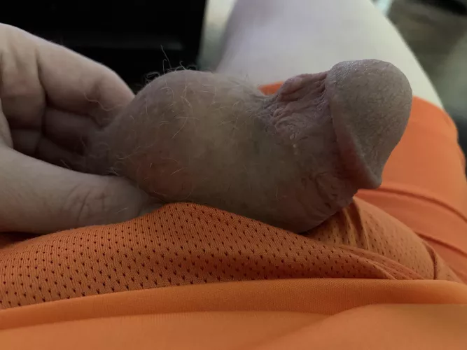 [45] Bean by pronmotors1