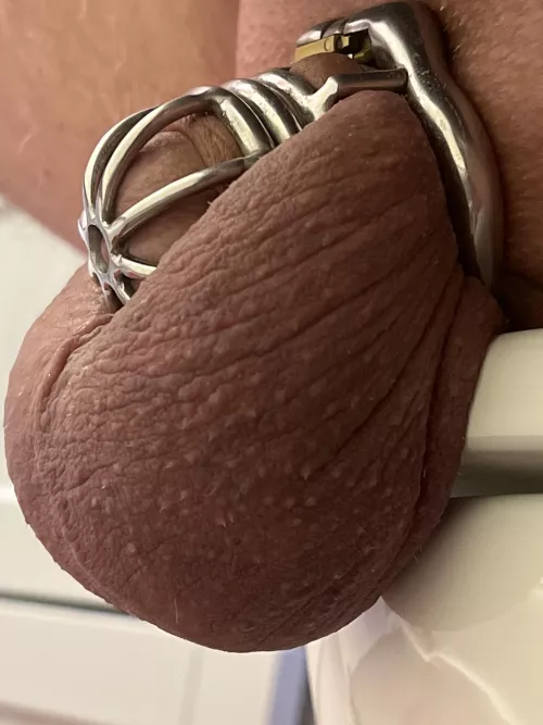 45 days with no release, due for deep clean and nut any day. by Leftsaidfredrick