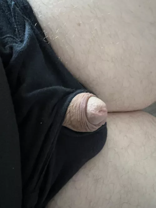 (45) It barely pokes out of my underwear when soft. by fishsticklicker