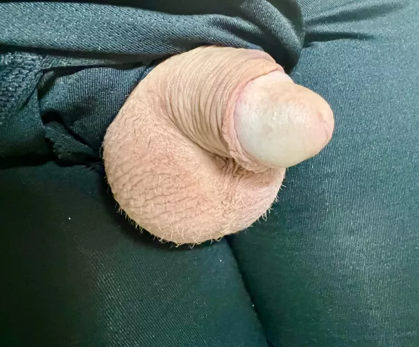 (45) Tiny softie, what do you think?? by fishsticklicker