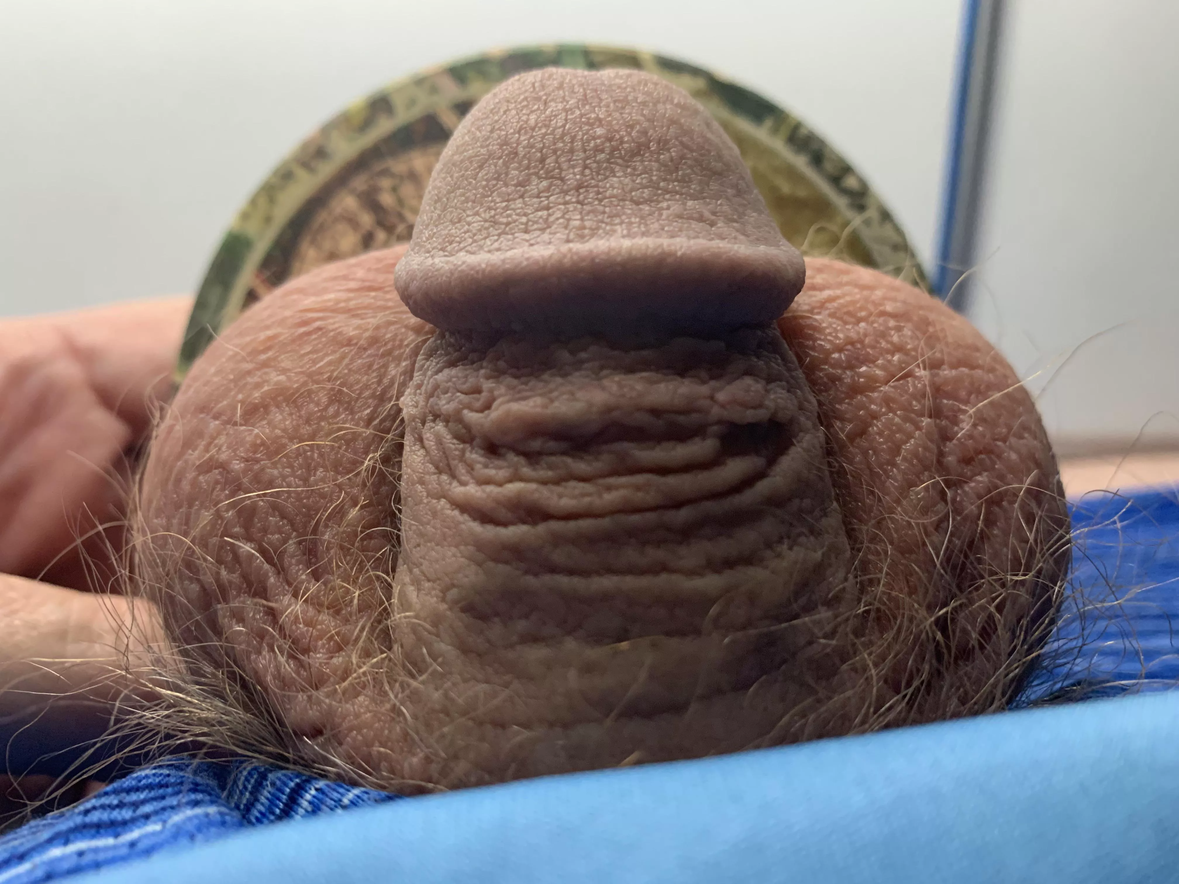 [45] Twig and berries. posted by pronmotors1