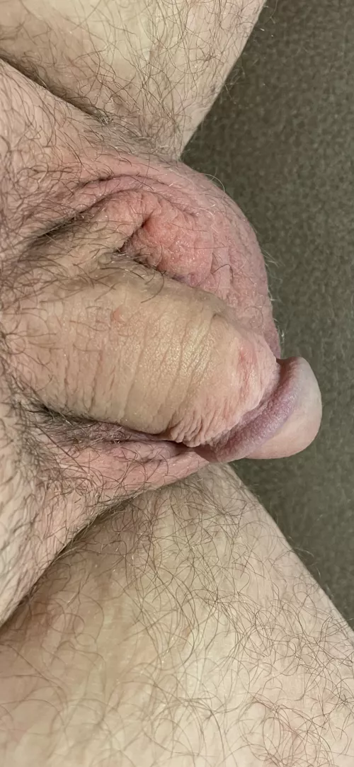 (45)getting ready for play time by ou812forever