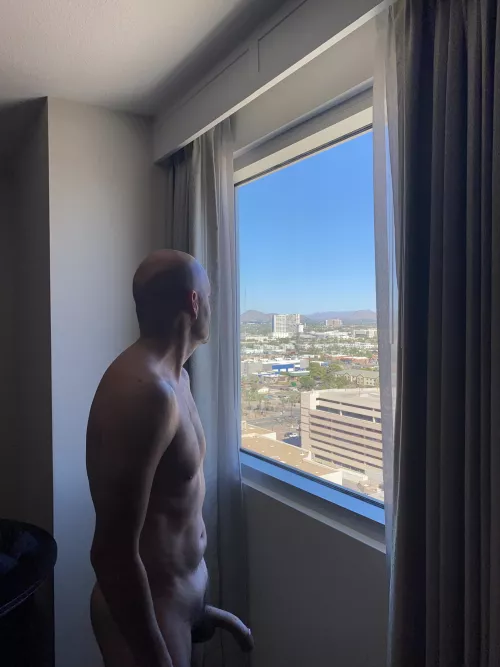 46 hello Phoenix! by TravellingBull44