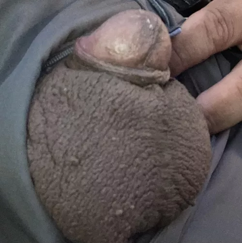 [46] Looks like my balls are ready to explode! by East_Celery9438