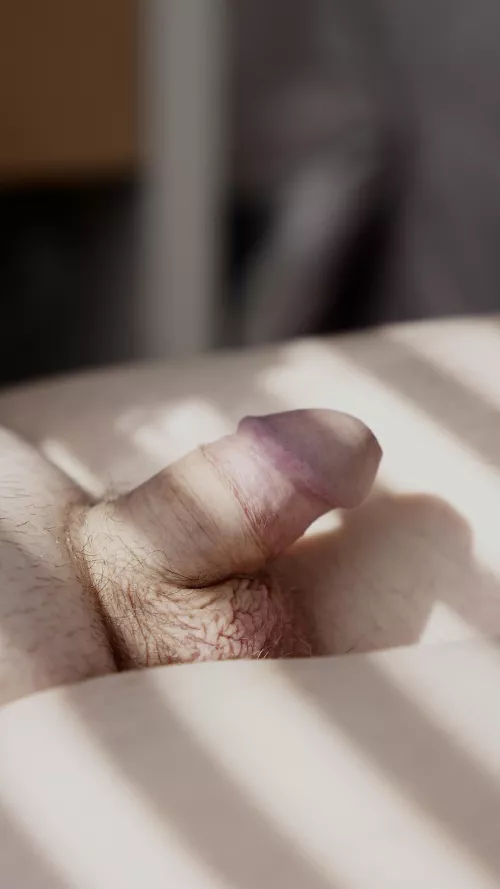 [46] Well, it's Monday by KnowledgeSeeker0675