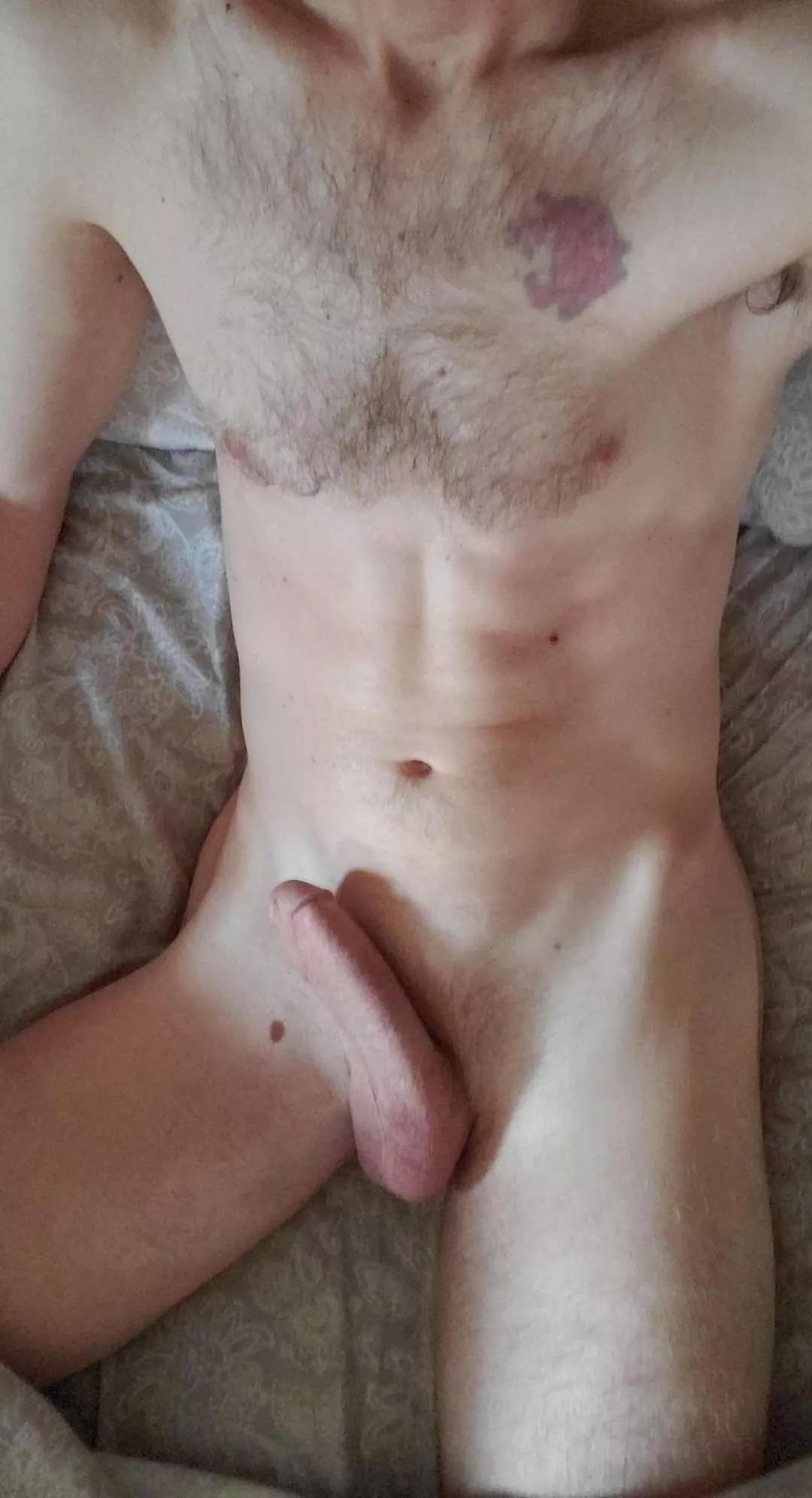 46M, Bull/3rd from MA, visiting WA/OR now-14th. posted by tatt4titt69