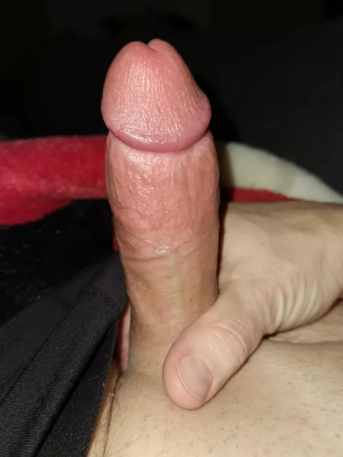 [47] Just another normal evening... by JustAnotherDadBod69