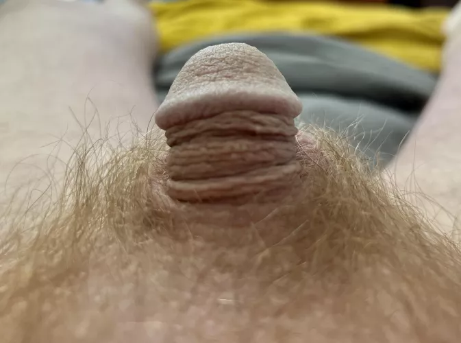 [48] play with my tiny ginger cock by walters_buddies