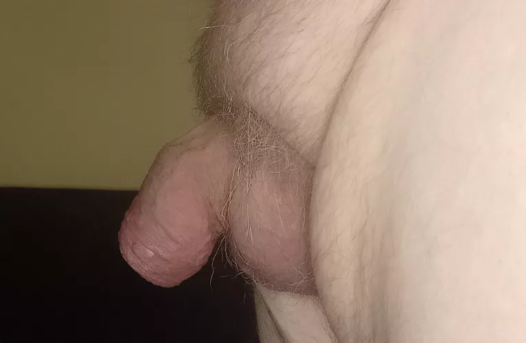 [48] profile view. by --zola--