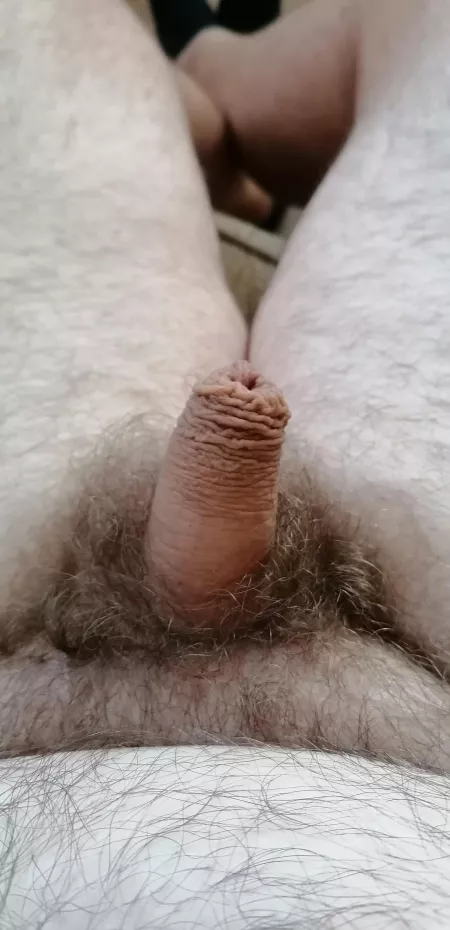 [49] like my tiny onr by Wild_Chance4595