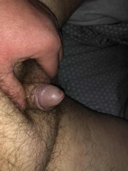 [49] Wanting to have fun in Kansas by No-Aside6074