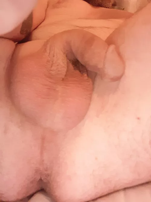 [49]Good morning...Should I wake him up... by Duren76