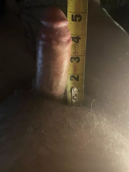 5 by Cheap-Jackfruit7419