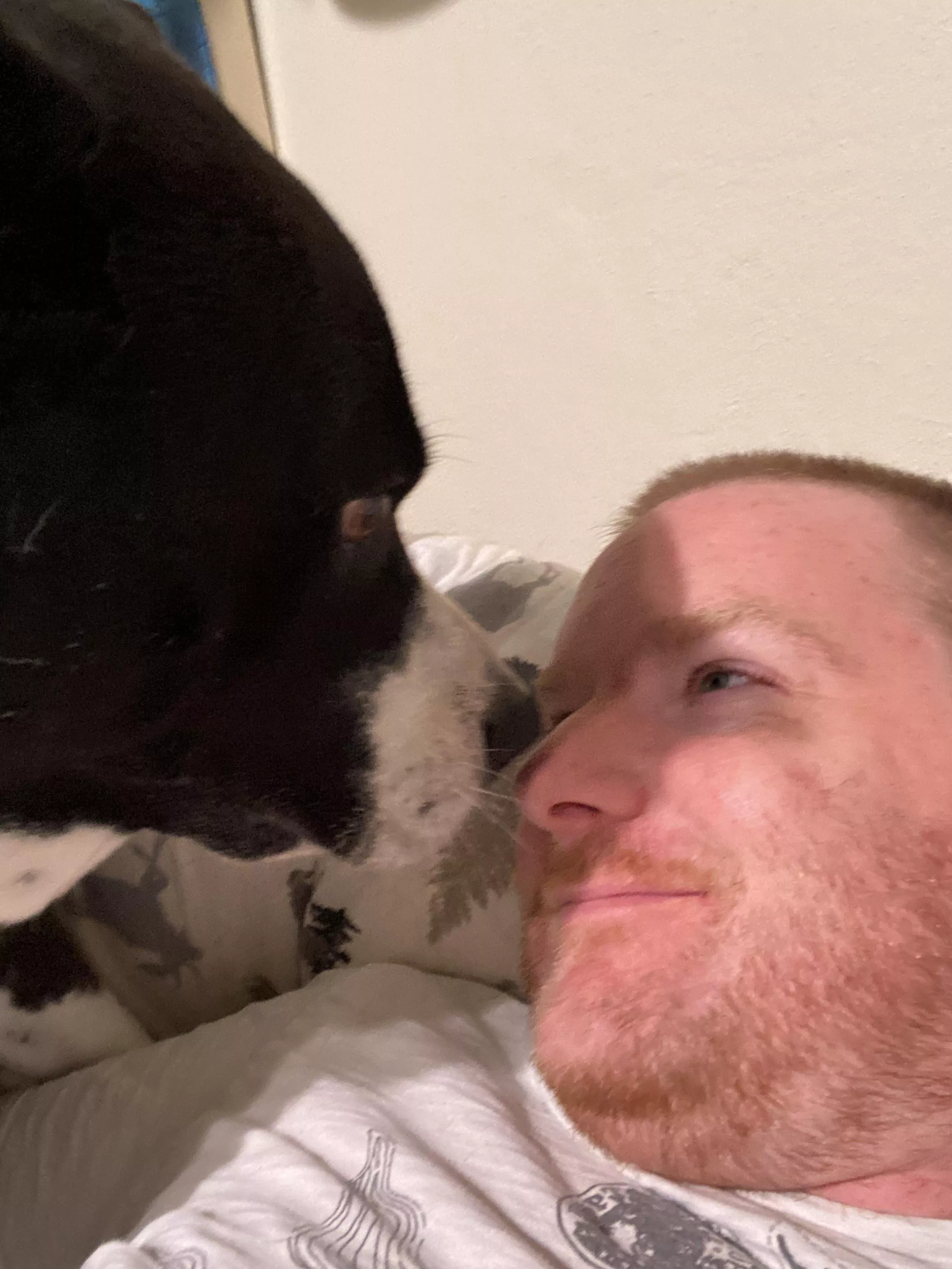 5 years ago this Angel saved me. (I found her but I call myself the lucky one) I think she remembered that today was her 5 year anniversary too. 🥺😇🥰. posted by thundere59