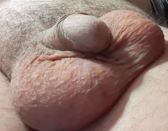 [50] total shrinkage by Hungry_Explanation94