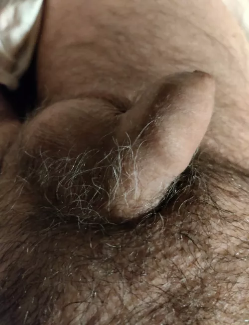 (51) Good morning guys, have a good one today (DM open for pics) by Stunning-Sun-9103