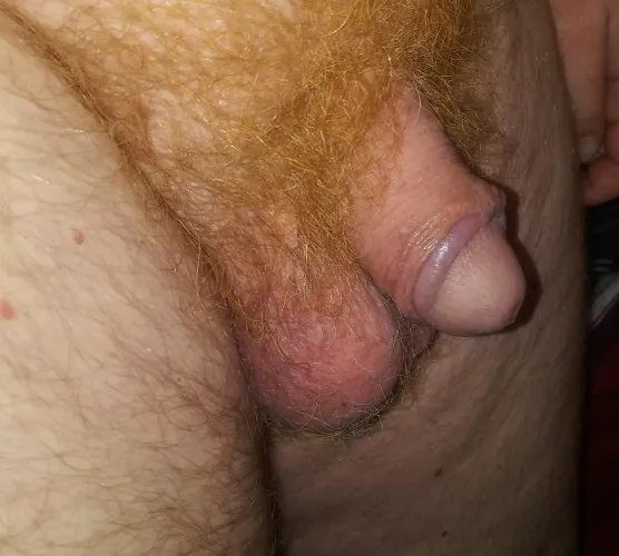 [51] Hello all by bazz2470